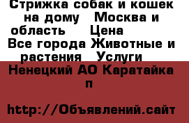 Стрижка собак и кошек на дому.  Москва и область.  › Цена ­ 1 200 - Все города Животные и растения » Услуги   . Ненецкий АО,Каратайка п.